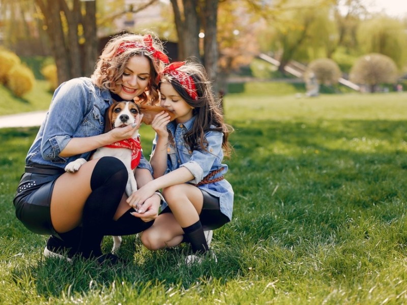 No las olvidemos durante el Mundial: claves para proteger a nuestras&nbsp;mascotas